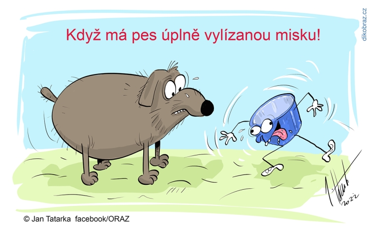 Jan Tatarka vtipy č.43120 - 