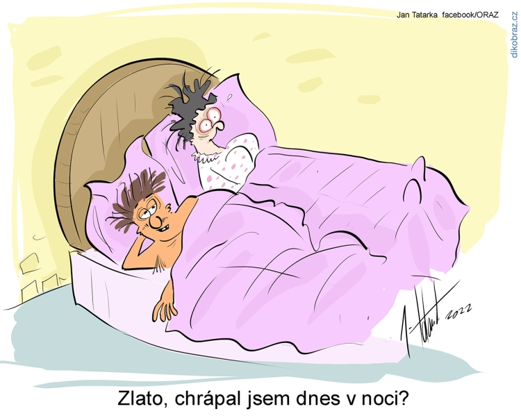Jan Tatarka vtipy č.45546 - 
