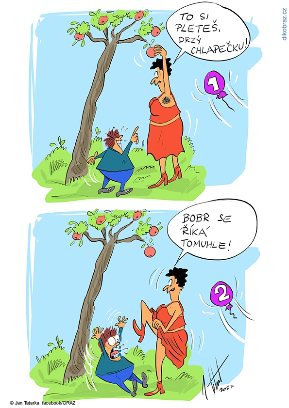 Jan Tatarka vtipy č.45823 - 