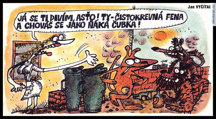 Jan Vyčítal vtipy č.65632 - 
