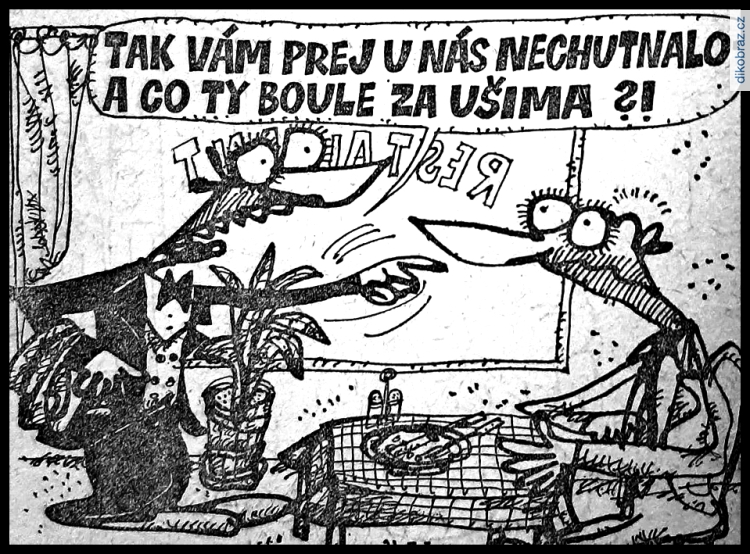Jan Vyčítal vtipy č.66747 - 