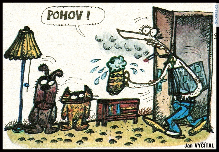 Jan Vyčítal vtipy č.67205 - 