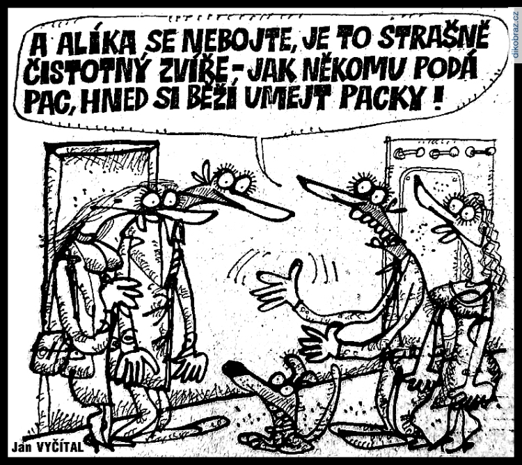 Jan Vyčítal vtipy č.83798 - 