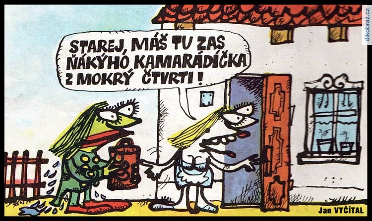 Jan Vyčítal vtipy č.94215 - 