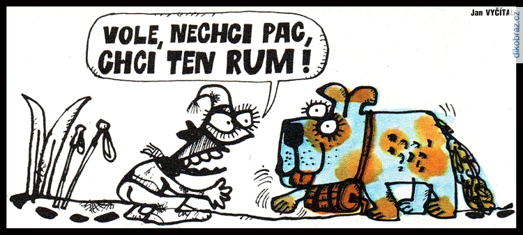 Jan Vyčítal vtipy č.100033 - 