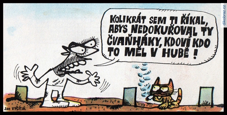 Jan Vyčítal vtipy č.100036 - 