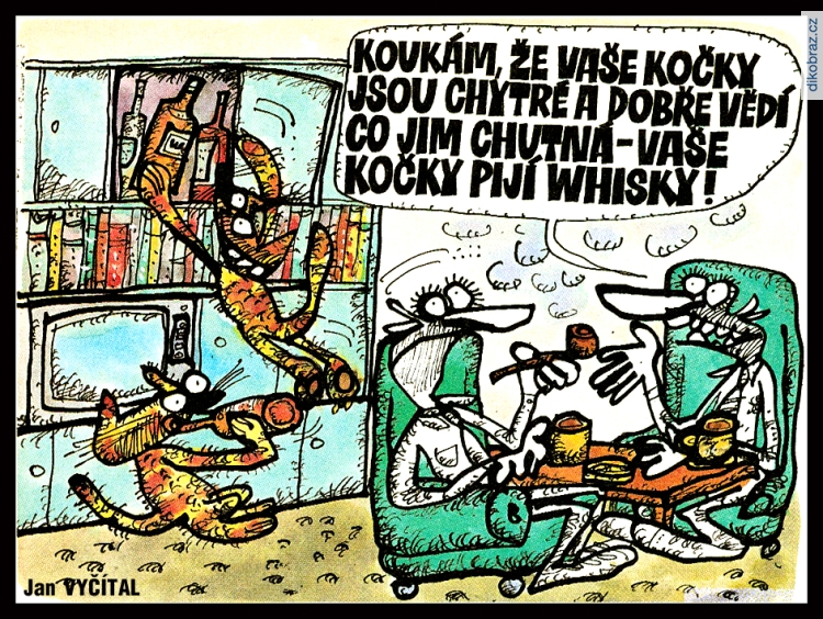 Jan Vyčítal vtipy č.100045 - 