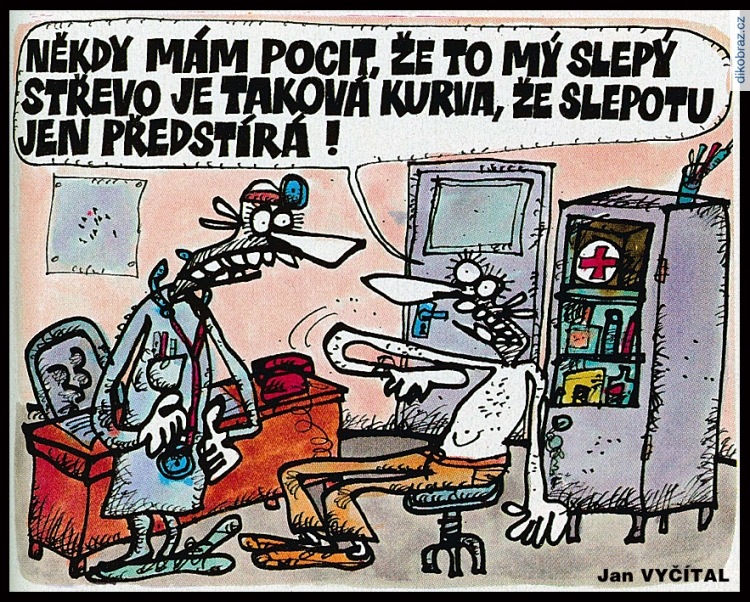 Jan Vyčítal vtipy č.106837 - 