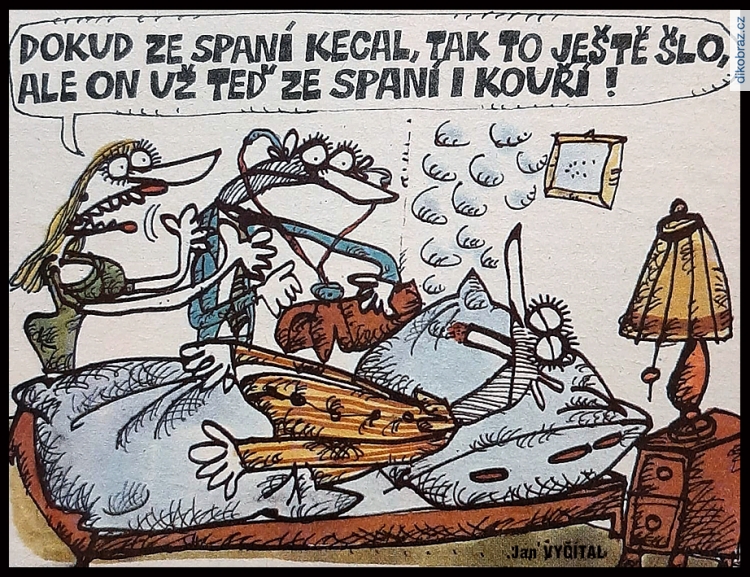 Jan Vyčítal vtipy č.106840 - 