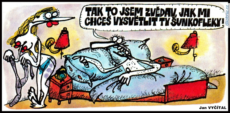 Jan Vyčítal vtipy č.106890 - 