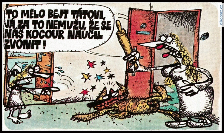 Jan Vyčítal vtipy č.106942 - 