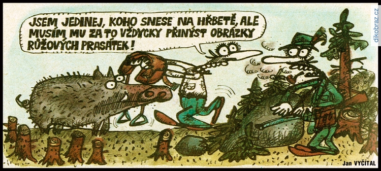 Jan Vyčítal vtipy č.106984 - 