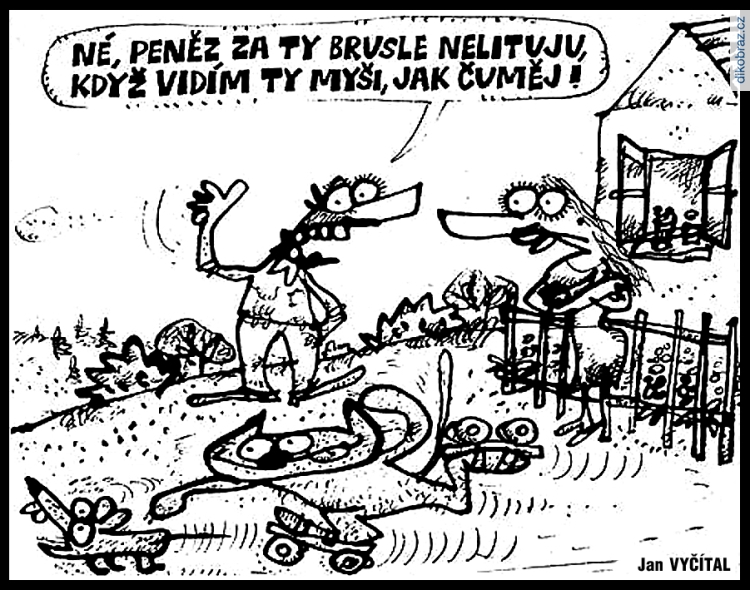 Jan Vyčítal vtipy č.107071 - 