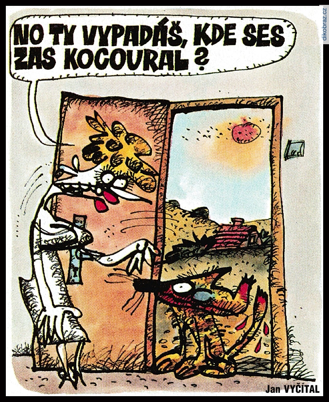 Jan Vyčítal vtipy č.107079 - 