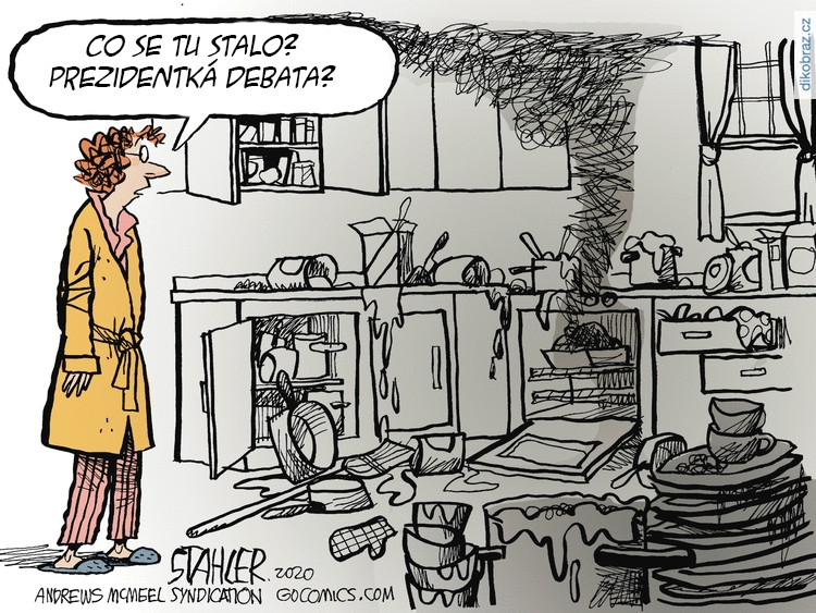 Jeff Stahler vtipy č.15141 - Americké volby 2020