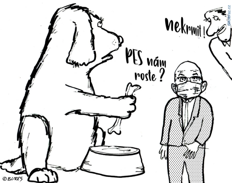 Jiří Bureš vtipy č.25154 - 