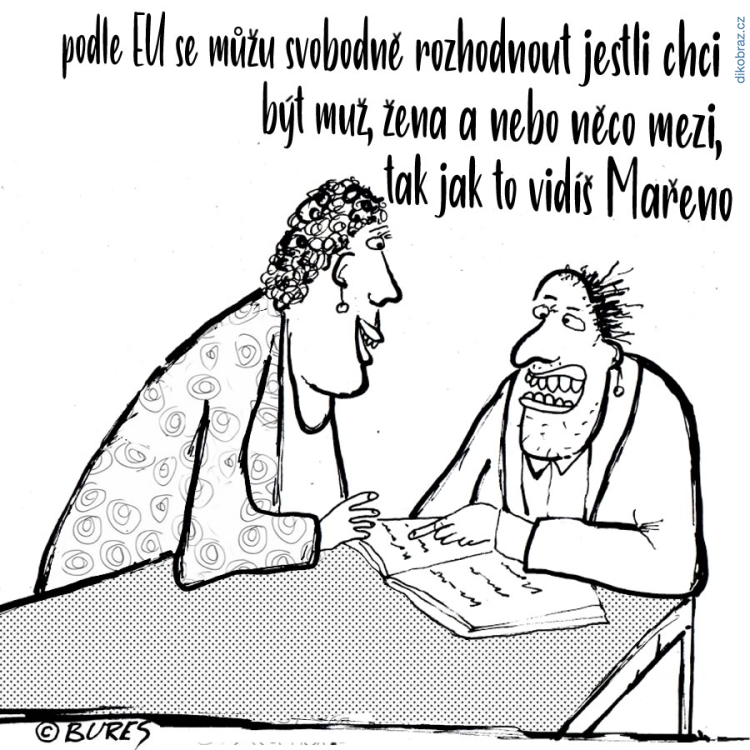 Jiří Bureš vtipy č.26446 - 