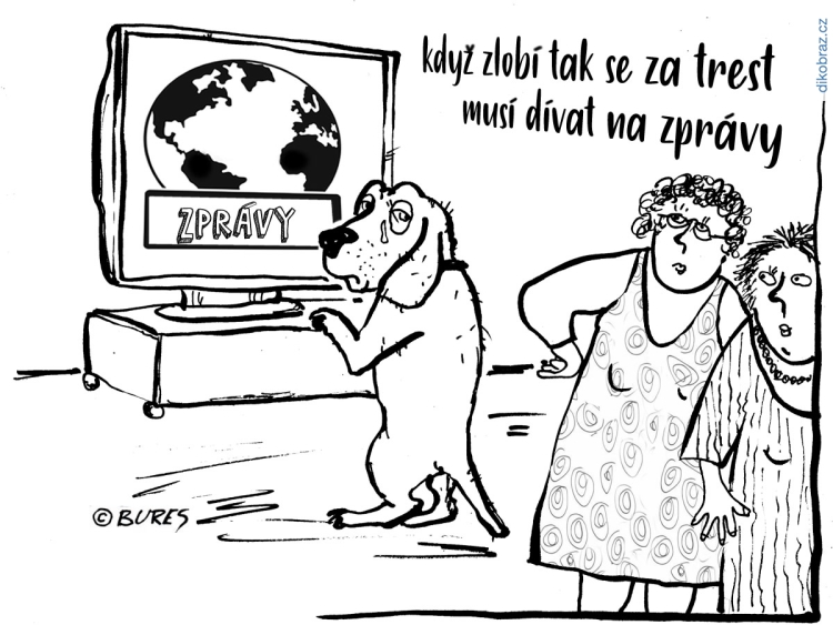Jiří Bureš vtipy č.34194 - 