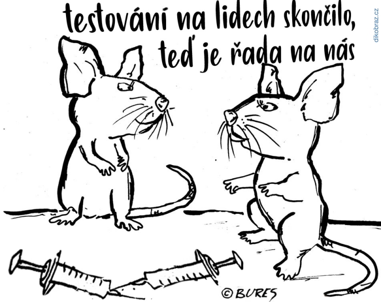 Jiří Bureš vtipy č.35992 - 