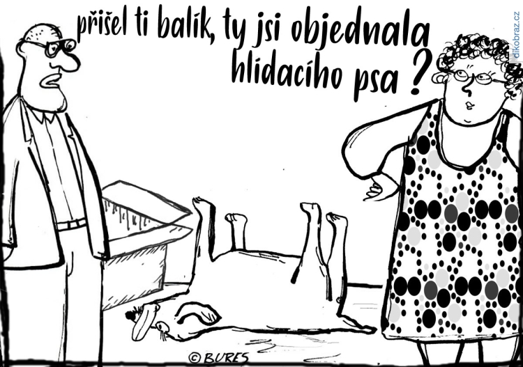 Jiří Bureš vtipy č.38752 - 