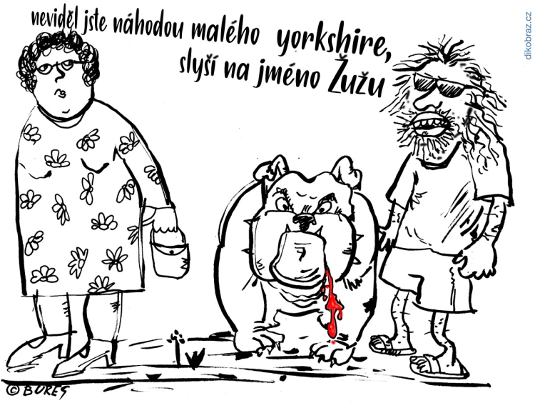 Jiří Bureš vtipy č.38885 - 