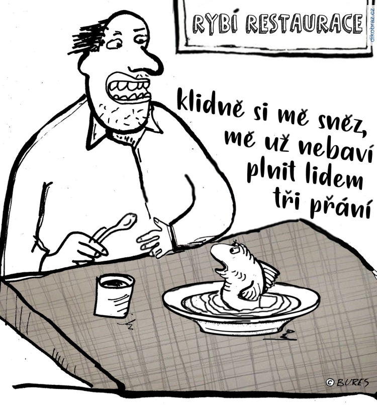 Jiří Bureš vtipy č.41411 - 