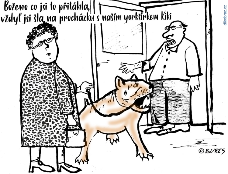 Jiří Bureš vtipy č.42753 - 