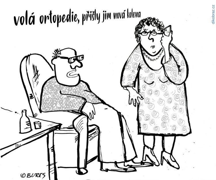 Jiří Bureš vtipy č.43707 - 