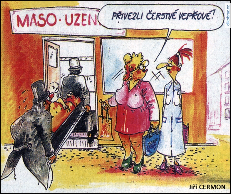 Jiří Cermon vtipy č.55941 - 