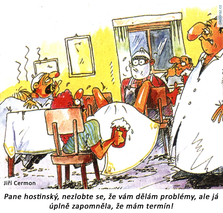 Jiří Cermon vtipy č.55942 - 