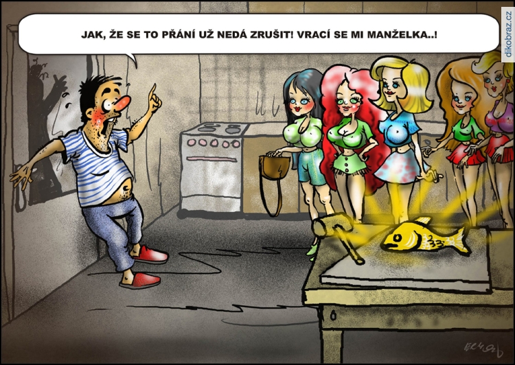 Jiří Cermon vtipy č.67683 - 