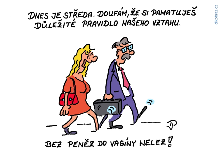Jiří Pirkl vtipy č.8972 - 