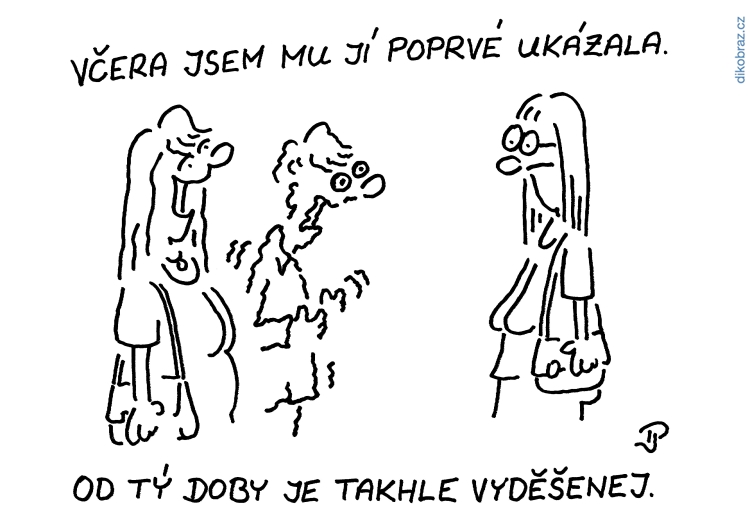 Jiří Pirkl vtipy č.38032 - 