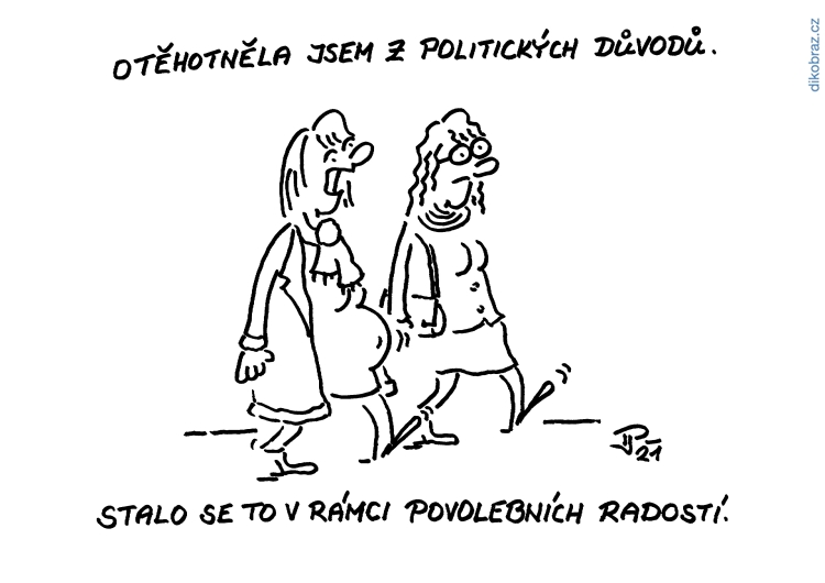Jiří Pirkl vtipy č.41379 - 