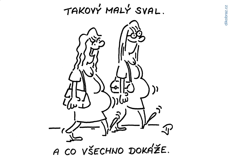 Jiří Pirkl vtipy č.44358 - 