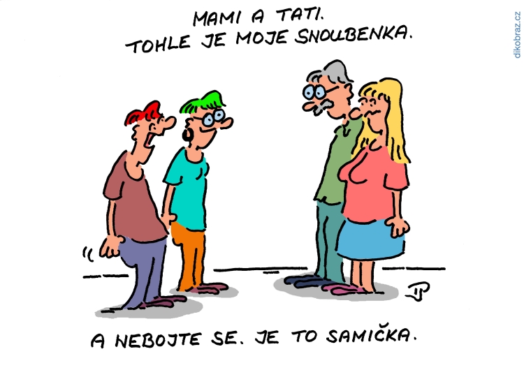 Jiří Pirkl vtipy č.63871 -