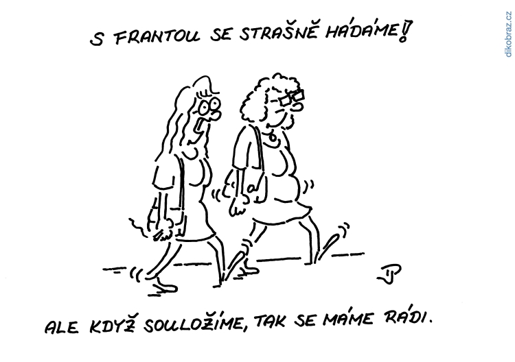 Jiří Pirkl vtipy č.68794 - 