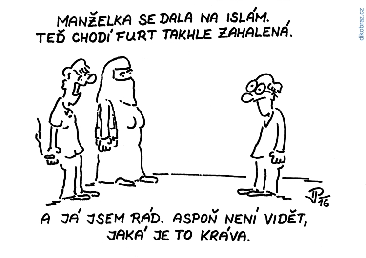 Jiří Pirkl vtipy č.5297 - 