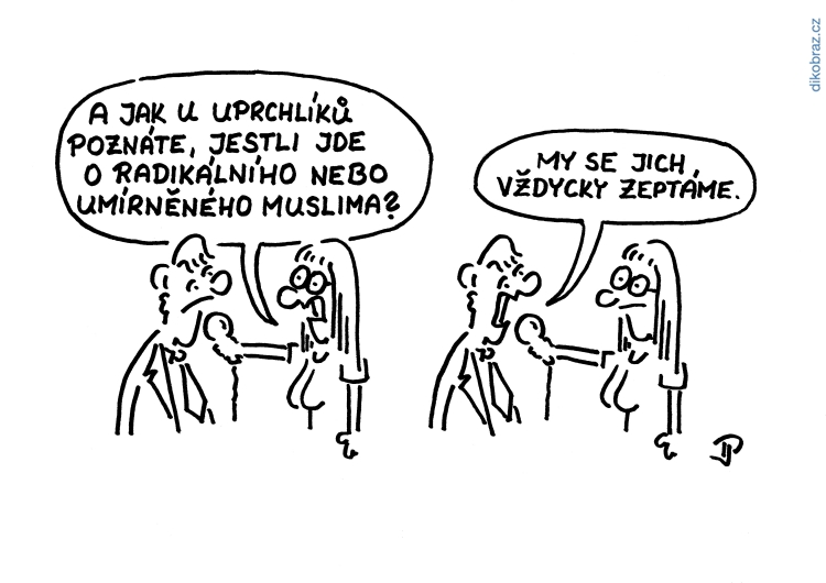 Jiří Pirkl vtipy č. - Domácí politika 2017