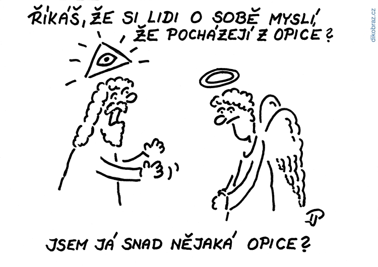 Jiří Pirkl vtipy č.5378 - 