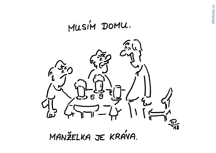 Jiří Pirkl vtipy č. - 