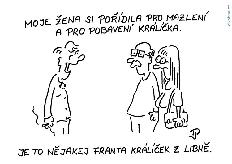 Jiří Pirkl vtipy č. - 