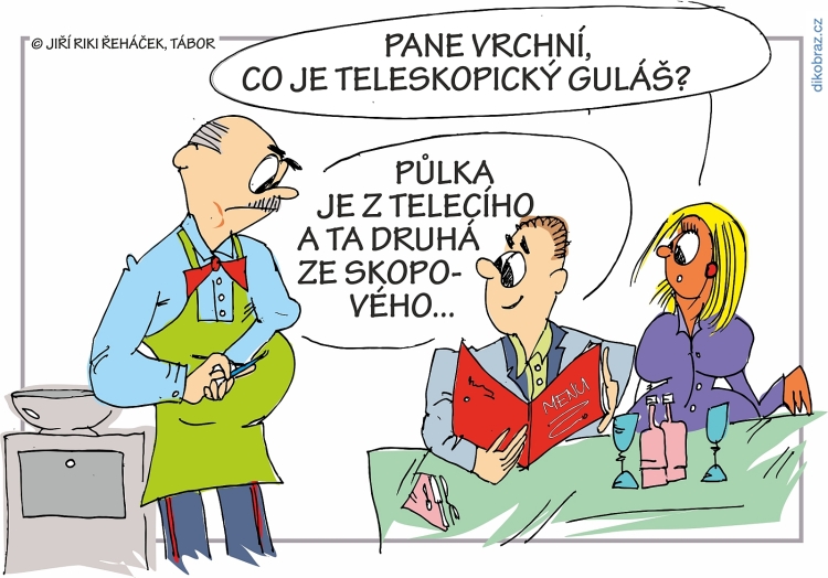 Jiří Riki Řeháček vtipy č.85967 - 