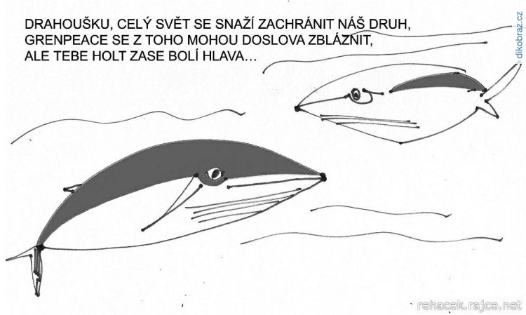 Jiří Riki Řeháček vtipy č. - 