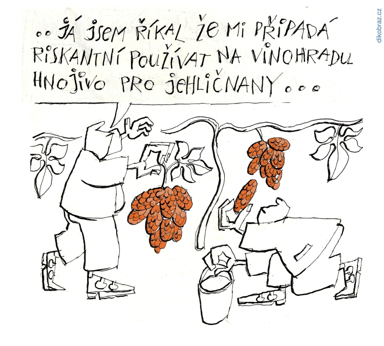 Jiří Srna vtipy č.36655 - 