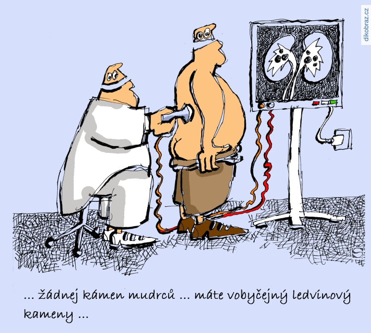 Jiří Srna vtipy č. - 