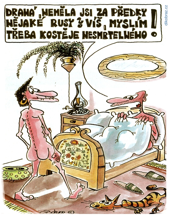 Jiří Zocher vtipy č.55946 - 