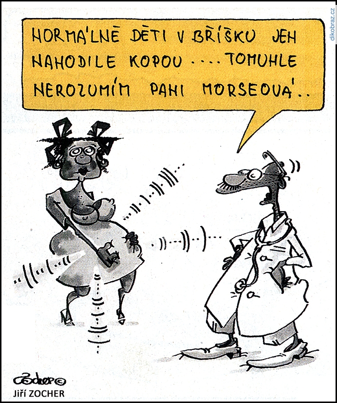 Jiří Zocher vtipy č.55971 - 