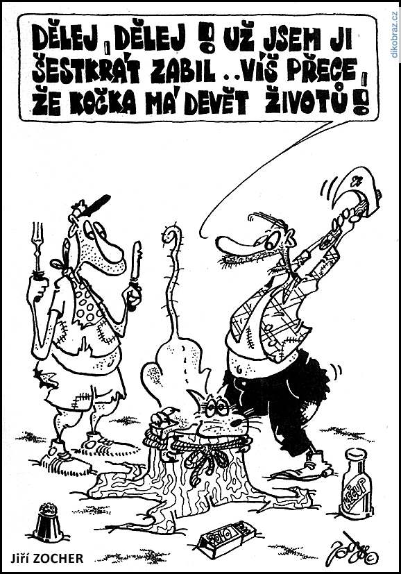 Jiří Zocher vtipy č.84177 - 