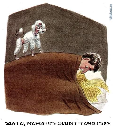 John Dempsey vtipy č.1492 - 